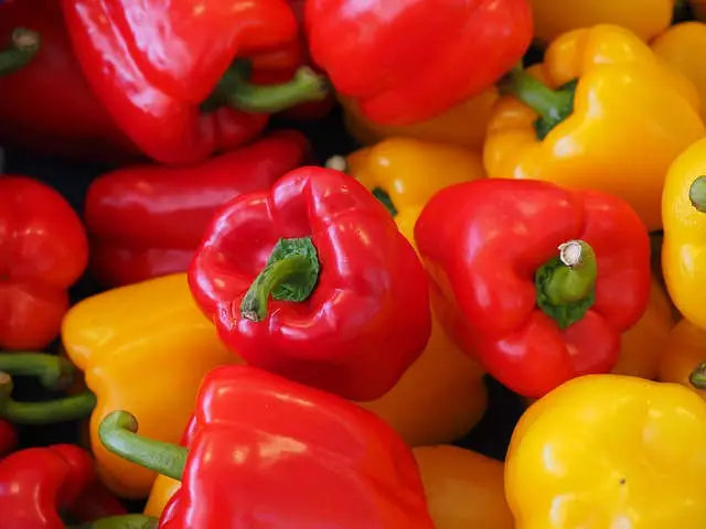 Pimiento