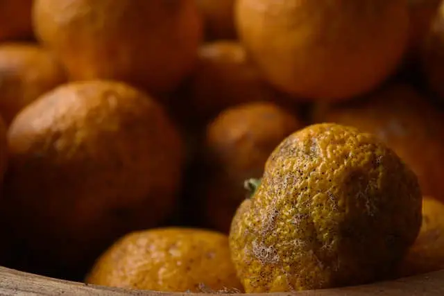 yuzu que es