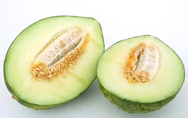 Melón