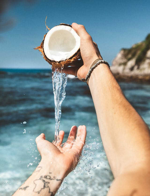 coco propiedades nutricionales