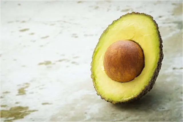 Aguacate