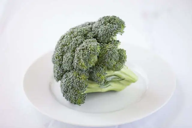 Brócoli