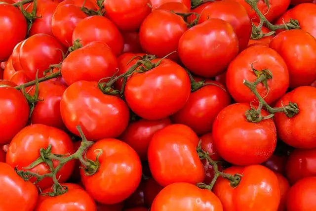 tomate