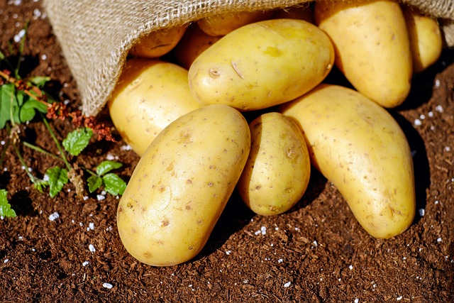 patatas cocidas se pueden congelar