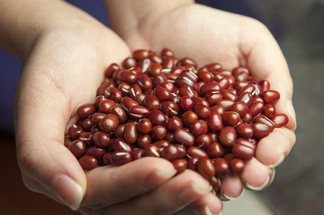 frijoles rojos propiedades