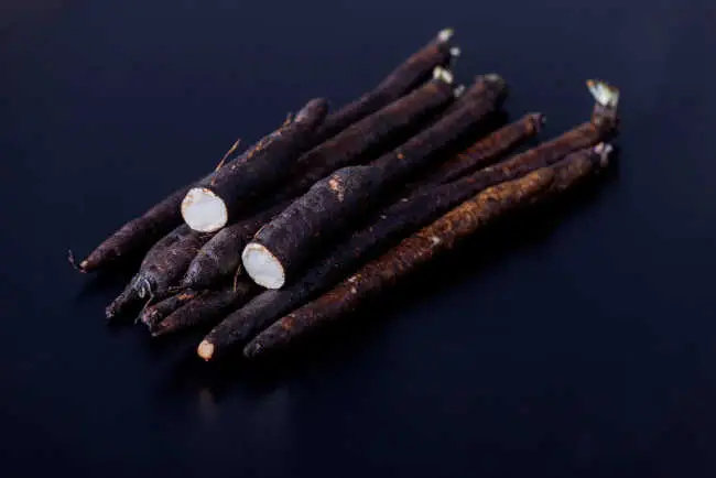 Salsifí negro: Propiedades, Beneficios y Cultivo de un Tubérculo