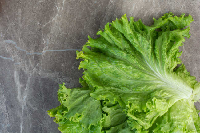 Beneficios de consumir lechuga a diario