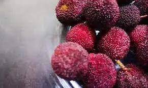 Pulasan: El Tesoro Exótico de los Bosques Tropicales