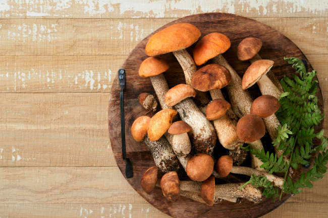 Beneficios del hongo porcini para la salud