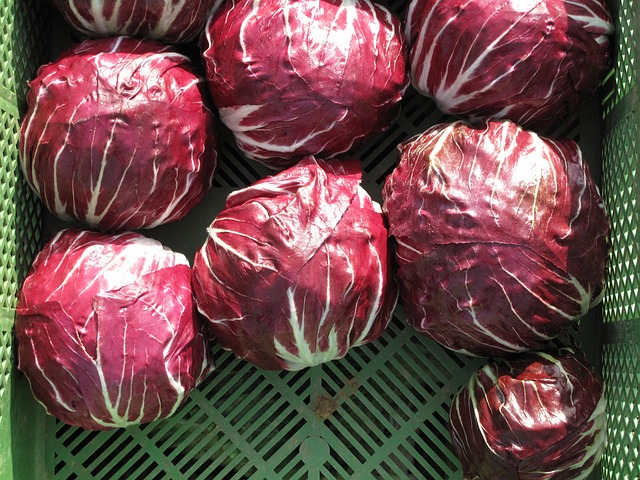 Beneficios del Radicchio para la Salud