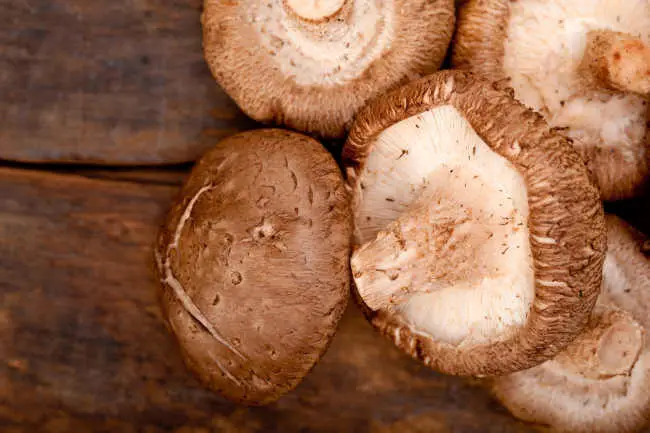 Shiitake