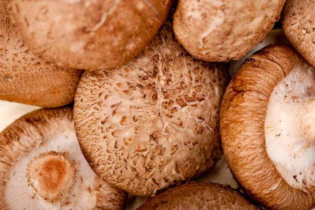 Beneficios del Shiitake para la Salud
