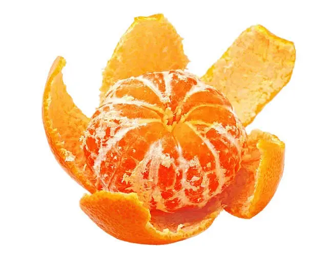 Tanjerina